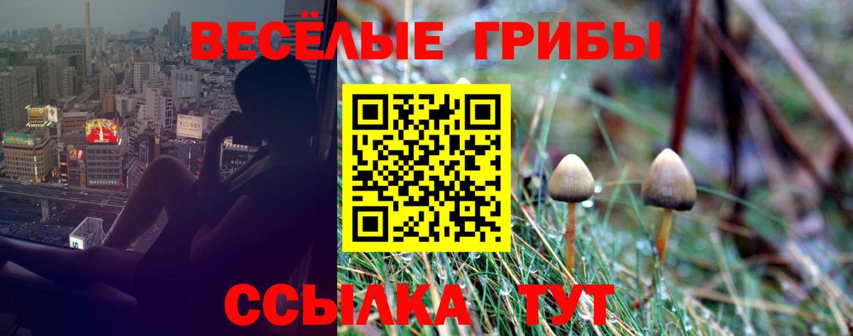 где купить наркоту  Вход с VPN  Зеленогорск  Галлюциногенные грибы ЛСД  Галлюциногенные грибы GOLDEN TEACHER 